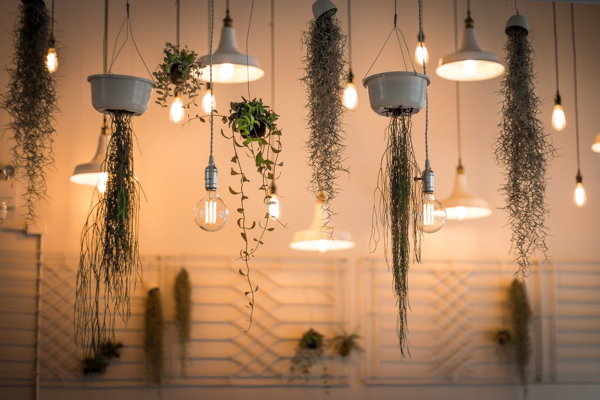 Nettoyer ses luminaires : le guide d'entretien