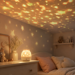 Projecteur Nomade